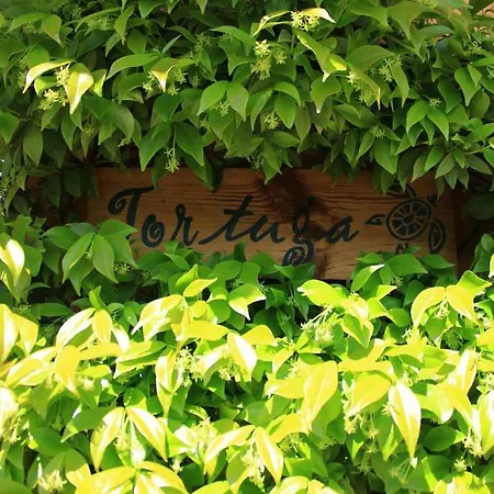 Holiday home La Poussada, Maisons Ecologiques Avec Vue