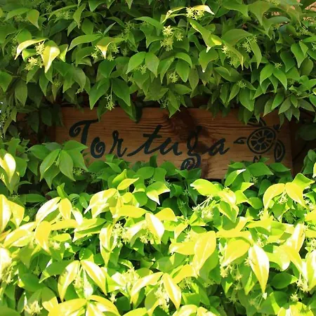 Feriehus La Poussada, Maisons Ecologiques Avec Vue