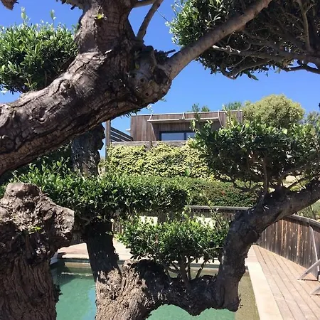 La Poussada, Maisons Ecologiques Avec Vue Holiday home *